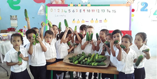 Seguridad Alimentaria