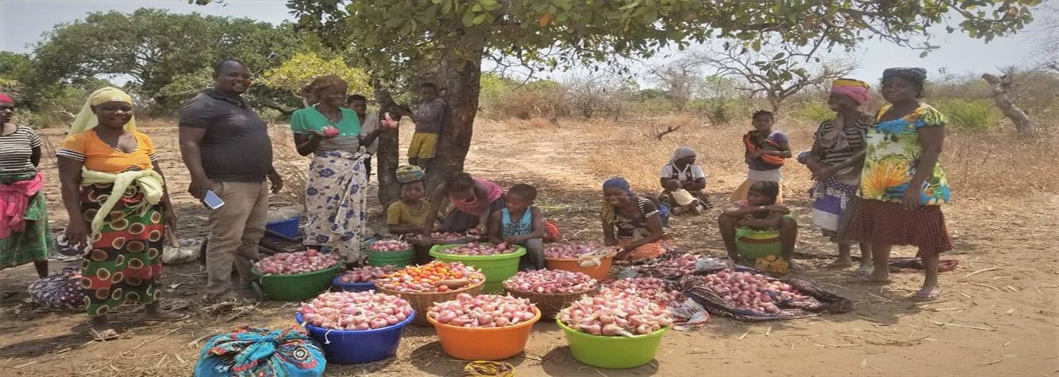 COLETANDO �GUA EM MO�AMBIQUE