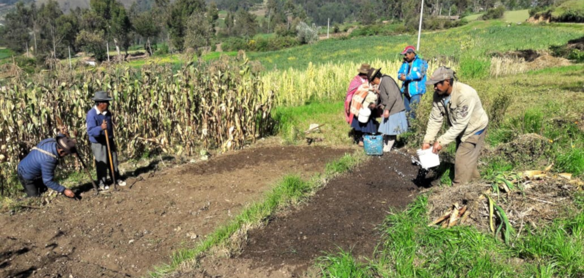 im�gen de nuestro trabajo