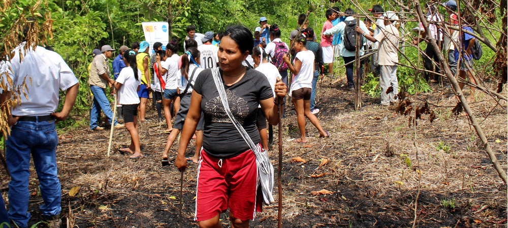 gobernanza ambiental ucayali
