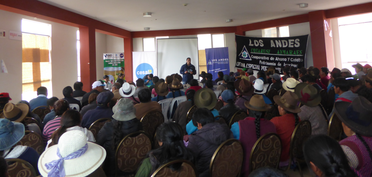 im�gen de nuestro trabajo