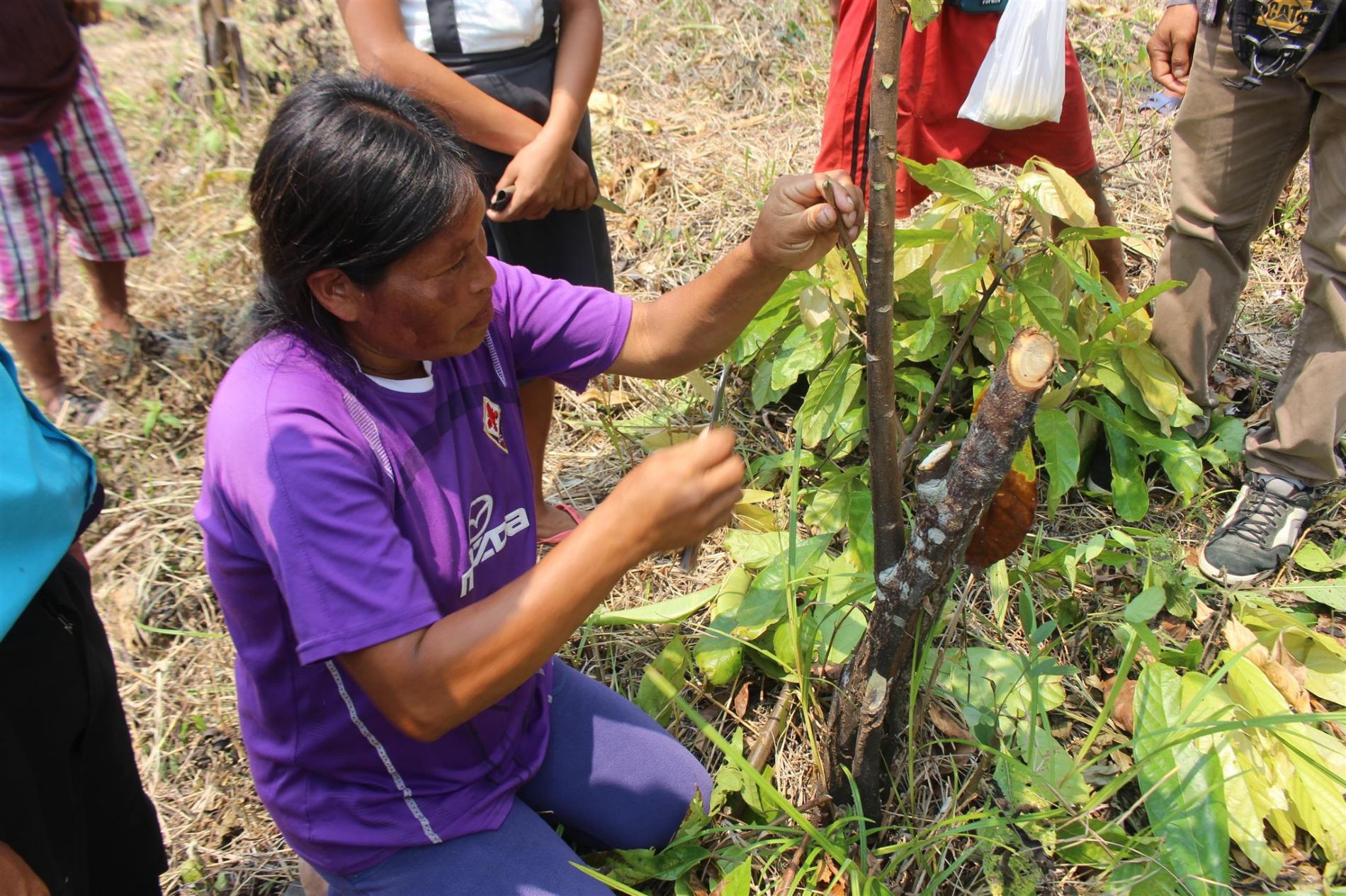 im�gen de nuestro trabajo