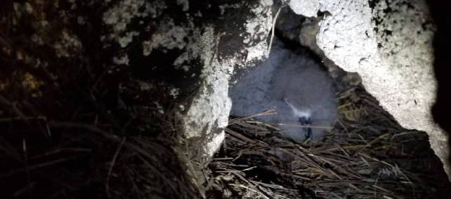 Biosfera transfronteriza Rep�blica Dominicana - Hait�