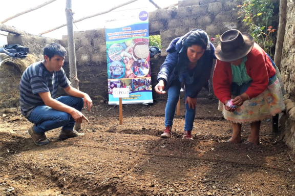 im�gen de nuestro trabajo