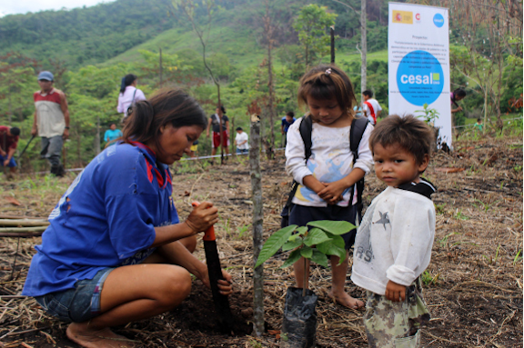 im�gen de nuestro trabajo