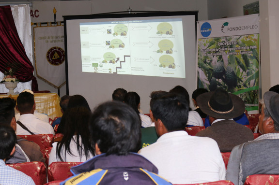 im�gen de nuestro trabajo