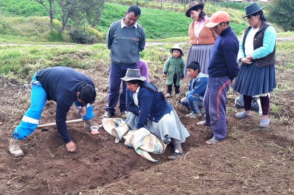 im�gen de nuestro trabajo