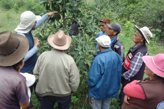 im�gen de nuestro trabajo