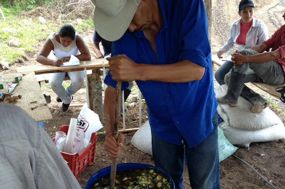 Beneficiario elaborando abono org�nico