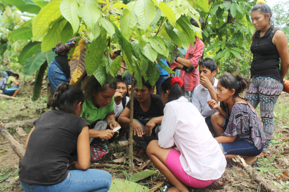 im�gen de nuestro trabajo