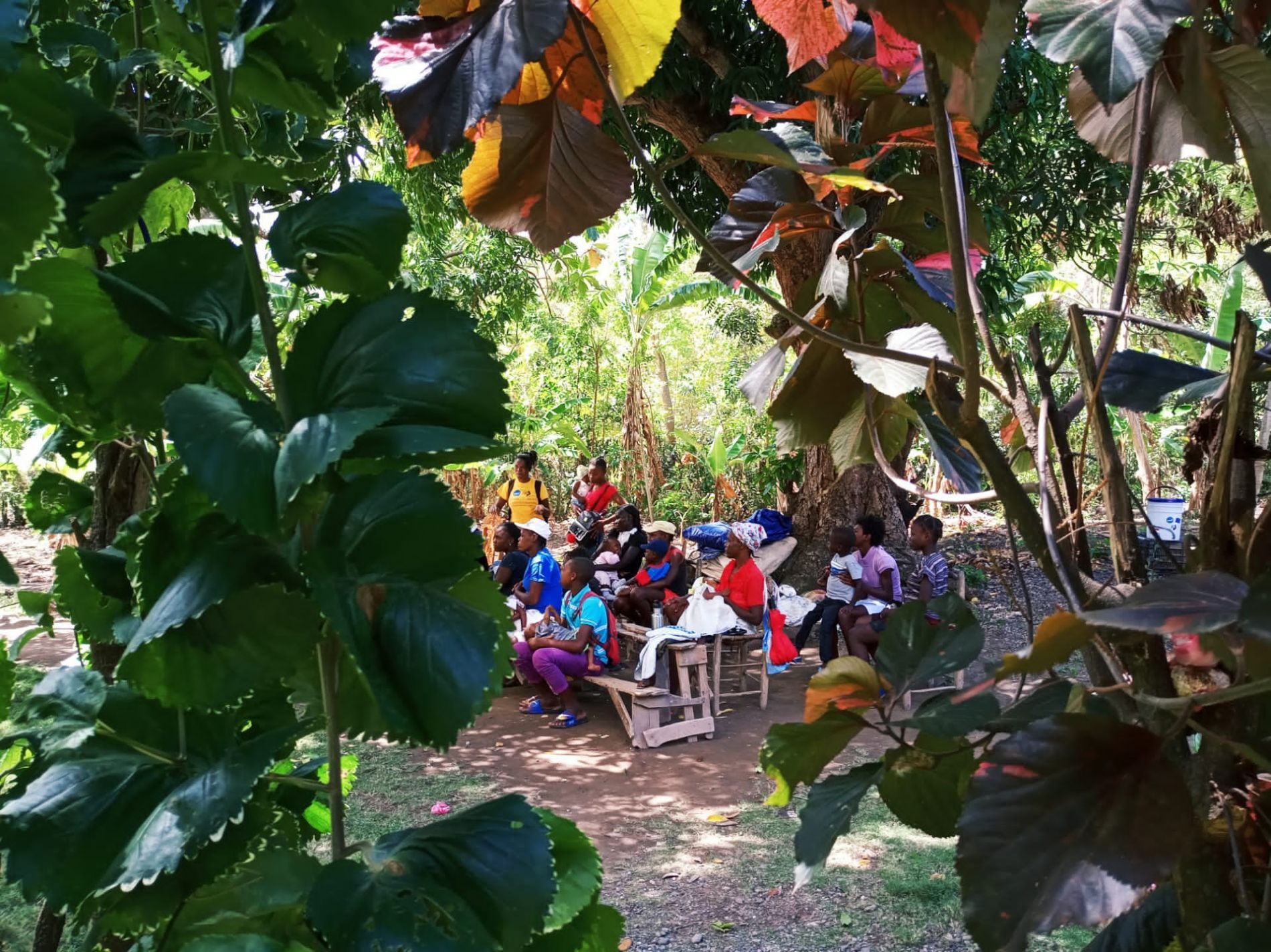 Coronavirus; emergencia; salud; CESAL; dona; voluntariado