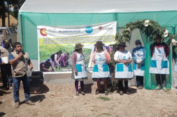 im�gen de nuestro trabajo