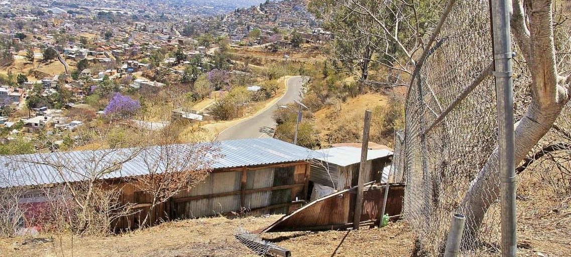 coronavirus. emergencia, CESAL, dona, alimentos, salud