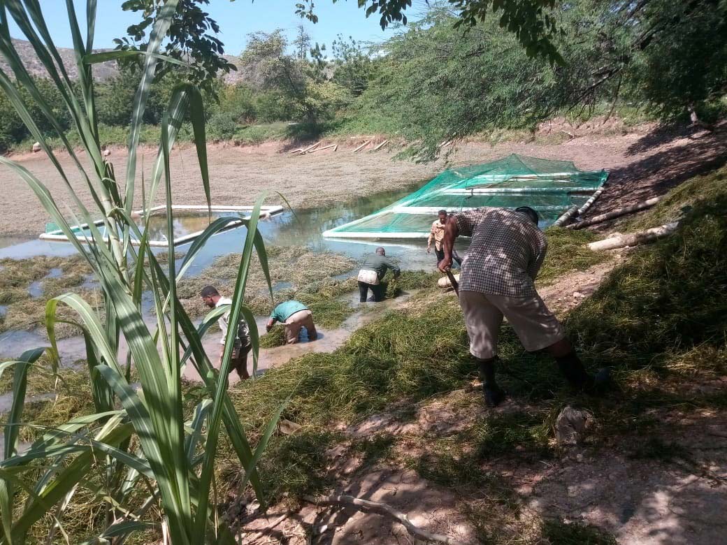 ALIMENTACI�N SANA Y NUTRITIVA EN DUVERG�