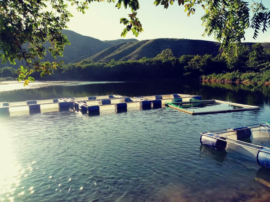 ALIMENTACI�N SANA Y NUTRITIVA EN DUVERG�