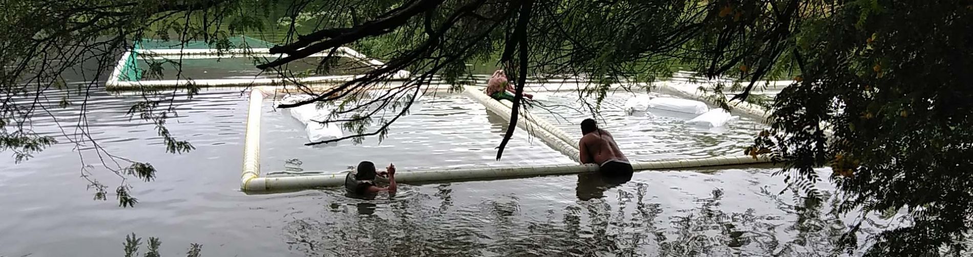 ALIMENTACI�N SANA Y NUTRITIVA EN DUVERG�